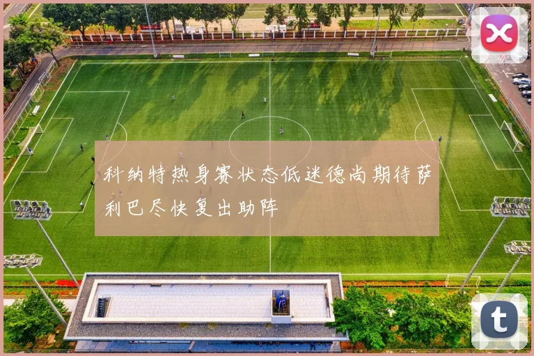 科纳特热身赛状态低迷德尚期待萨利巴尽快复出助阵
