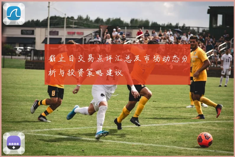 截止日交易点评汇总及市场动态分析与投资策略建议
